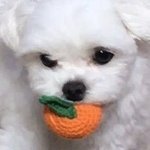 [댓글부탁해] 어제 생일이였는데 거를애들 걸렀어