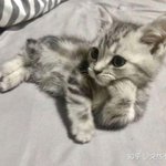 <b>역사</b> 쉬운거 <b>질문</b>좀 할겡