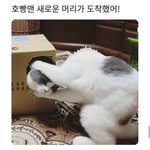 [드루와] 아 스<b>밍</b>돌리는 거 개싫어