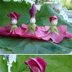 보는 순간 일단 소름 돋았음