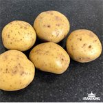 <b>말문</b>이 틀어막히는 케이크의 장인