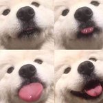 [댓글부탁해] <b>고</b>2인데 용돈 <b>말</b>이야