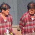 [댓글부탁해] 판에 올라오는 단골<b>소재</b>들 이거아니냐