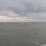 생리할때 탐폰 안 끼고 수영 애바냐 추반좀