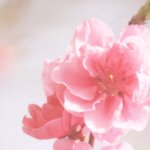 아 우리만 <b>숙제</b> 개많냐