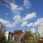 내가 찍은 <b>하늘사진</b>