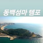 [EXO] 동백섬마 <b>템포</b>ㅋㅋㅋㅋ