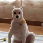 남친 잠수이별 죽여버리고싶다