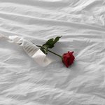 대학은 <b>학</b>종볼<b>때</b>