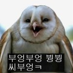 [힝힝] 할머니 할아버지 진짜 어떡하냐ㅠ