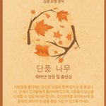 [댓글부탁해] 예쁘단 <b>소리</b> 들은거중에서