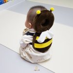 귀여운 말랑애기꿀벌뒷<b>통수</b> 보러올라사람?