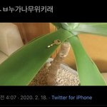 교복치마 질문~~~!~! 제발룡