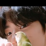 [댓글부탁해] 앵잘<b>알</b>들아 <b>이</b> 앵무새 종이뭐야??