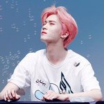 <b>미리</b> 찾아온 벚꽃 보여주는 아이돌