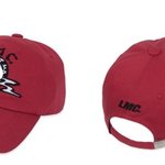 [19] <b>이모자</b> 추반좀