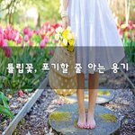 [이것좀봐줘] <b>튤립</b>꽃, 포기할 줄 아는 용기~