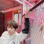 [NCT] 혹시 <b>양양</b>이 후드티 어디껀지아시는분 ㅠㅠ