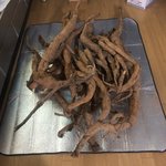 아빠가 산에서 이거 <b>캐</b>왔는데 뭐임