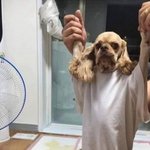 아까 <b>g컵</b>이랑 만난다는애 어디감?