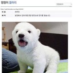 [드루와] 원잇들아 엑원 유닛