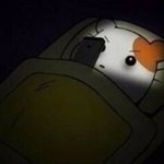 [댓글부탁해] 올해 <b>합반</b> 처음 해보는데 팁 같은거 있어?