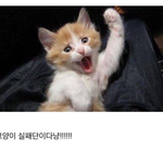 [19] 양홍딱 은근 귀여움