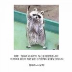 [ㅋㅋㅋㅋㅋ] 진짜 담배 <b>피고</b> 싶은데 어떡함