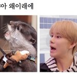 [NCT] <b>퇴근</b>시간이라 빡세다 스밍기릿!!