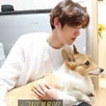 [백현] 몽룡이 <b>두툼</b>해서 안고자기 좋게 생겼어