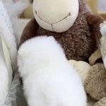 얘네중에 누구 뒷<b>태가</b> 더 숨막히냐?