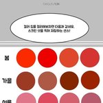 이거 확실한거 맞음?? <b>퍼컬</b>