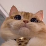 [댓글부탁해] 니네가 했던 최고 <b>일탈</b>