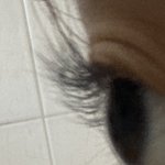 [댓글부탁해] 드디어 뷰러 제대로 하는 방법 알아냄