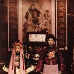 [19] 이거 개이쁜데 <b>개비</b>쌈