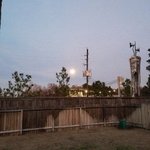 나 캐나다 사는데 우리<b>집</b> <b>밖</b> 풍경 어때?