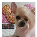 [댓글부탁해] 나 유튜브에 영상 올려봤는데