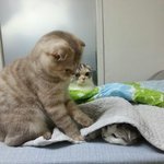 있지 <b>춤선</b> 다른거 너무 좋음