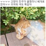 [드루와] 나어릴때 개<b>순수</b>했음