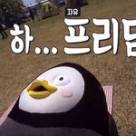 [댓글부탁해] 나 쌍수 <b>전후</b> ㄹㅇ다름..