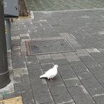 고3인데요 공부자극 부탁드려요
