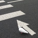 고3인데요 공부자극 부탁드려요. 쎄게