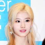 [ㅉㅉ] 트와이스 컨셉으로 또 지랄하노 ㅋㅋㅋ