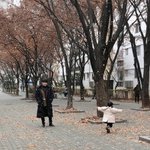 <b>휴교</b> 또 하려나...