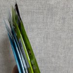 앙 <b>개꿀띠</b> 마스크 6개 구함