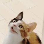 [추반] 니네 <b>남친</b> 극단적 추반