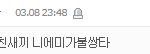 네이트 기사 댓글 <b>관리자</b>가 일을 안하네.