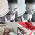 사람" 김선아, 故설리 반려묘 <b>고블린</b> 입양→김희철에 감사‥응원물결