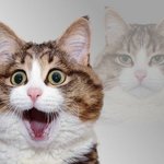 뒷북인데 방탄 <b>시차</b> 노래 ㅈㄴ좋네,;;;;;