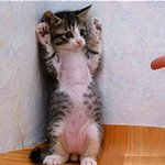 서울에 있는 외고 다녀 질문<b>해조</b>